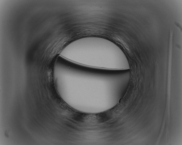 X0000093390123200710111355