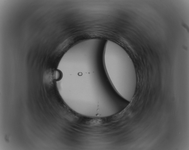 X0000093390124200710111355
