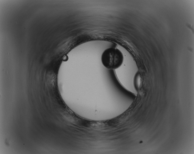 X0000093390125200710111355
