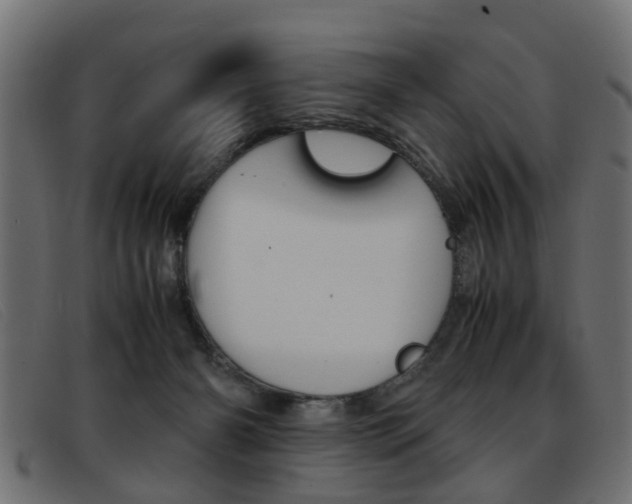 X0000093390126200710111355