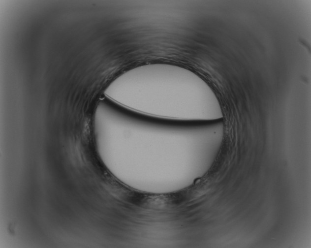 X0000093390127200710111355
