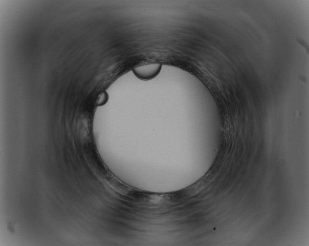 X0000093390130200710111354