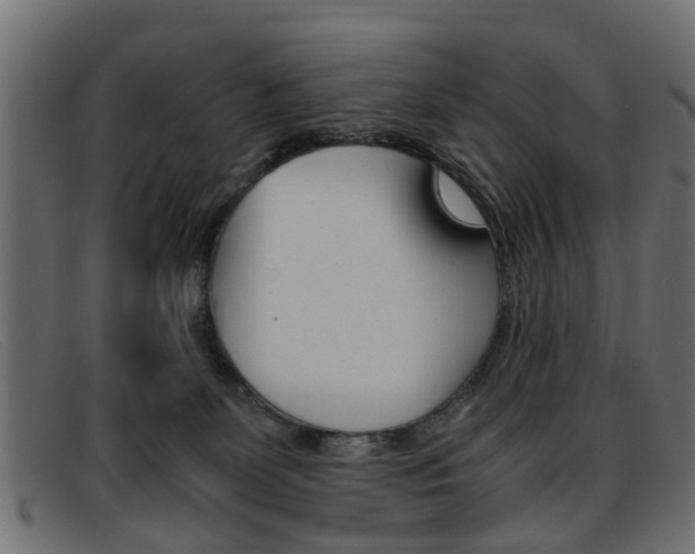 X0000093390131200710111354