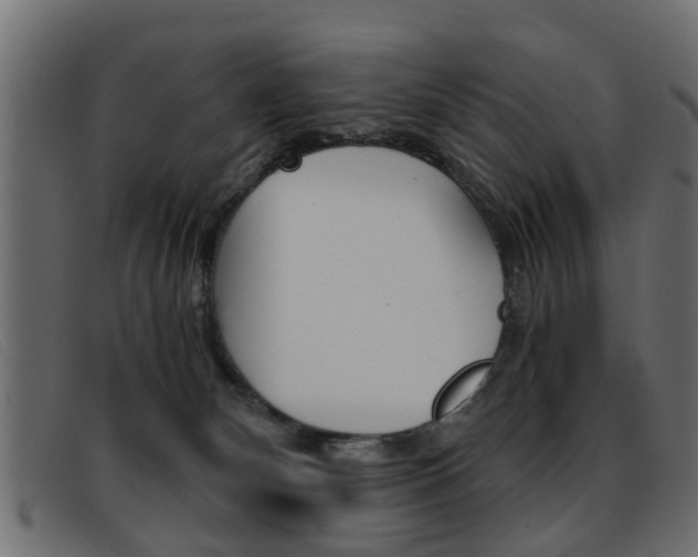 X0000093390132200710111354