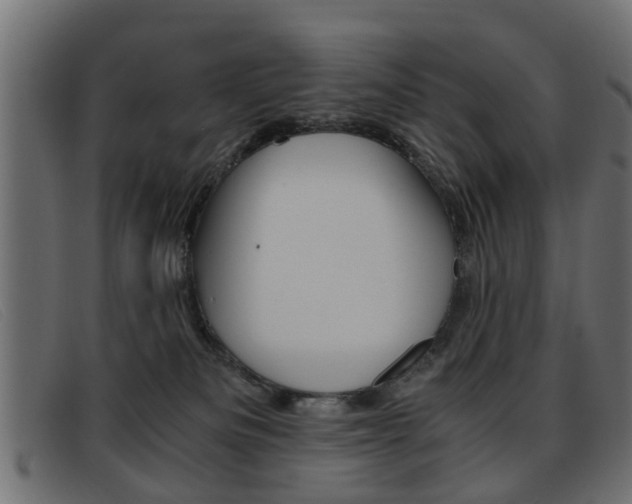 X0000093390133200710111354