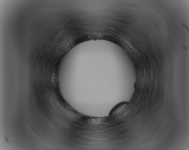 X0000093390134200710111354