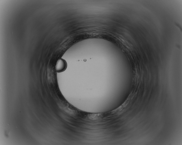 X0000093390136200710111354