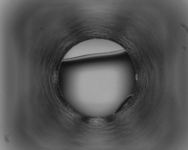 X0000093390137200710111354