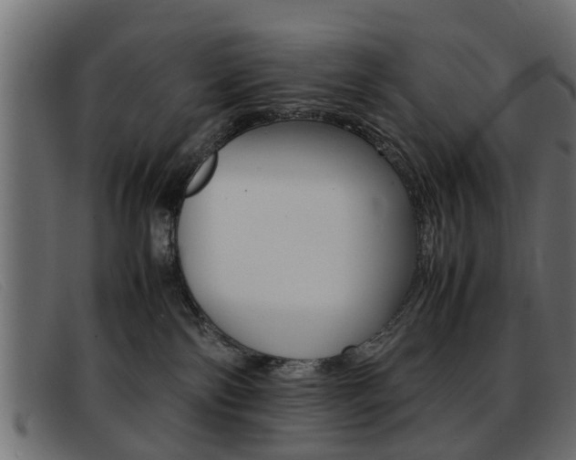 X0000093390138200710111354
