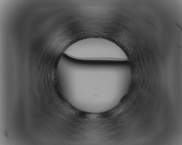 X0000093390139200710111354