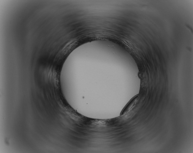 X0000093390140200710111354