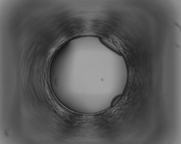 X0000093390145200710111354