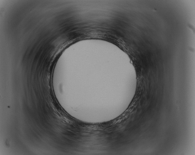 X0000093390146200710111354