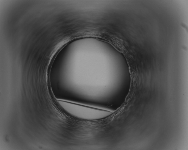 X0000093390148200710111354