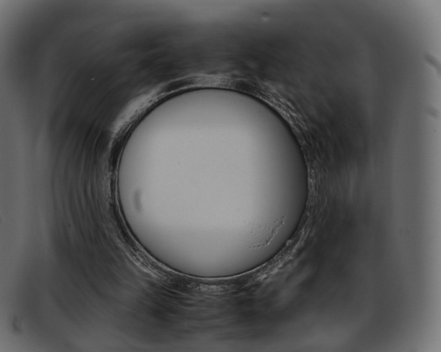 X0000093390149200710111354