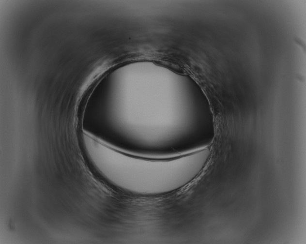 X0000093390150200710111354