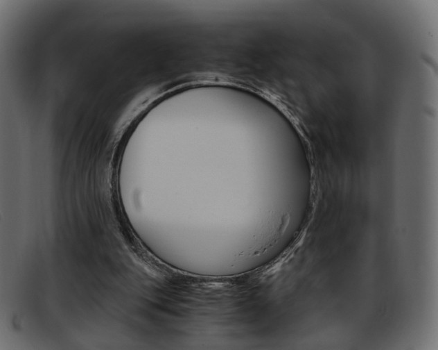 X0000093390151200710111354
