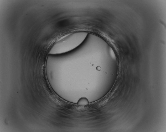 X0000093390153200710111354