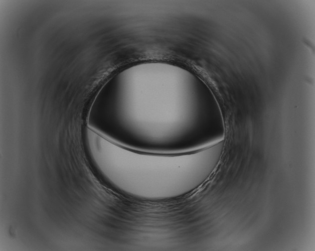 X0000093390154200710111354