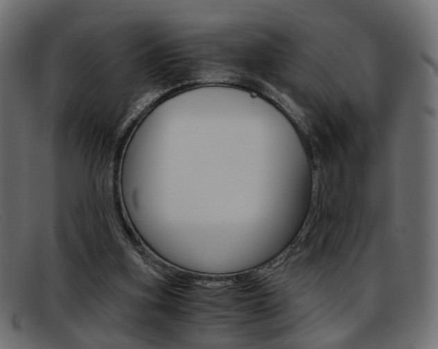 X0000093390155200710111354
