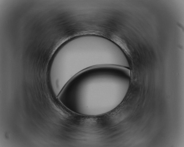 X0000093390156200710111354