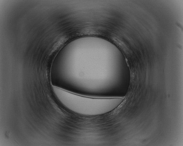 X0000093390158200710111354