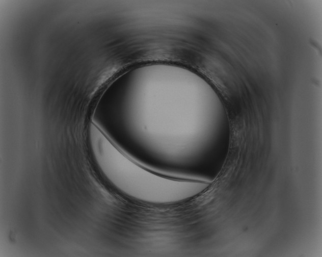 X0000093390160200710111354