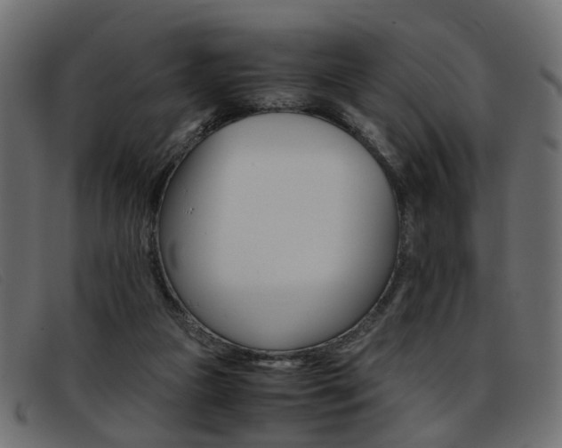 X0000093390161200710111354