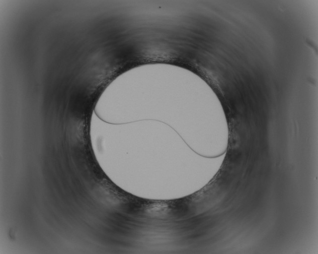 X0000093390162200710111354