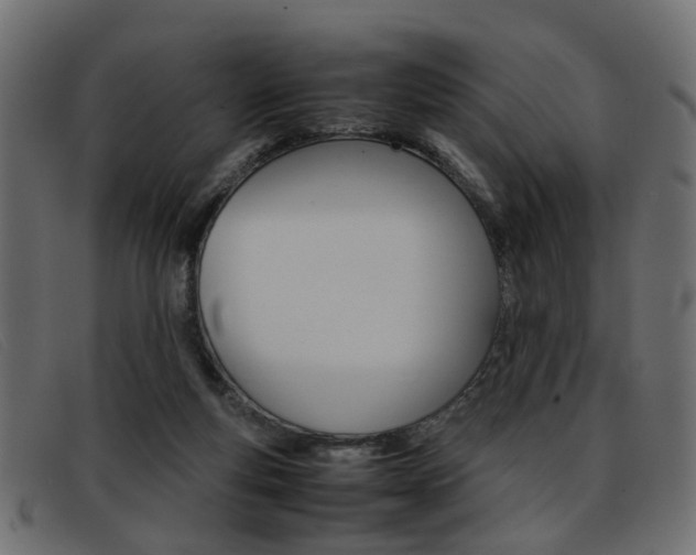 X0000093390163200710111354