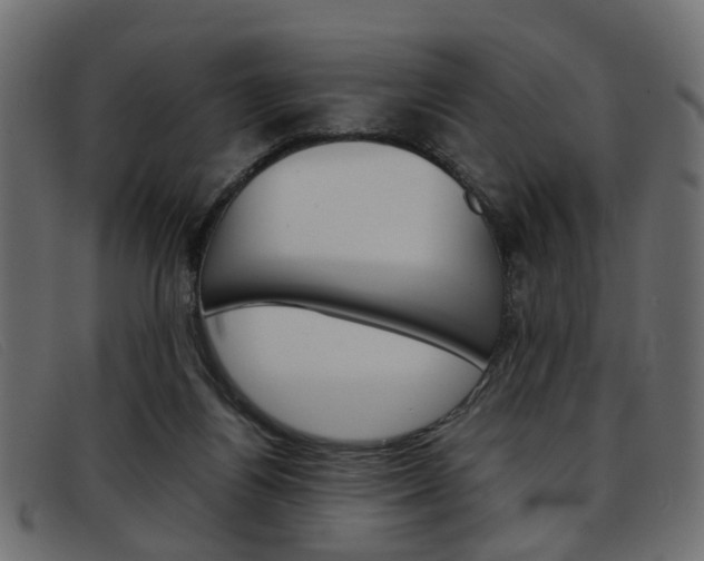X0000093390164200710111354