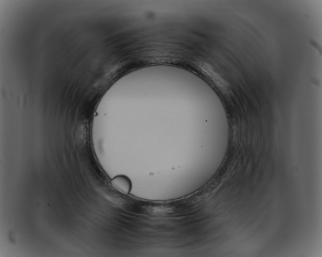 X0000093390165200710111354