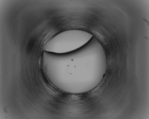 X0000093390166200710111354