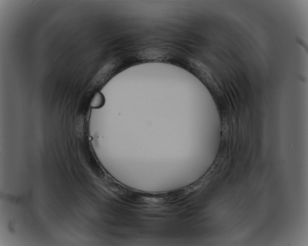 X0000093390167200710111354
