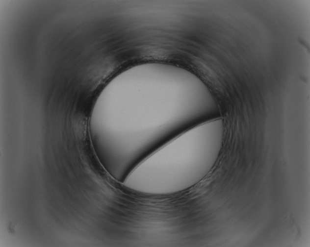X0000093390168200710111354