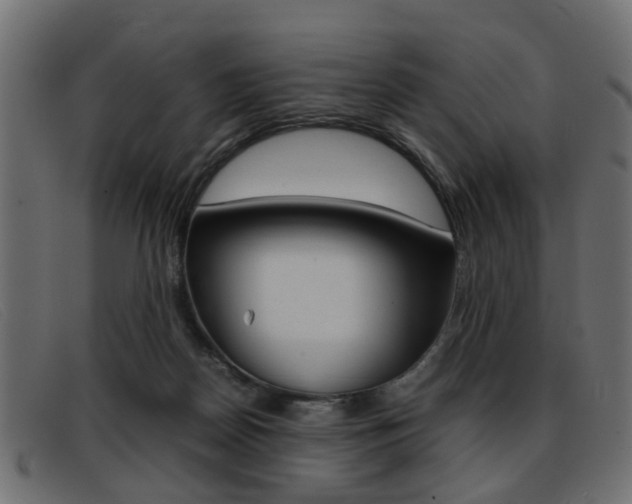 X0000093390170200710111354