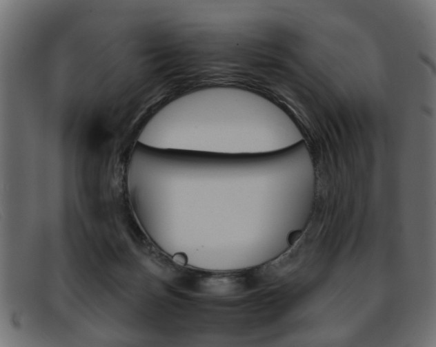 X0000093390171200710111354