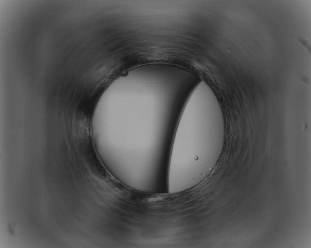 X0000093390172200710111354