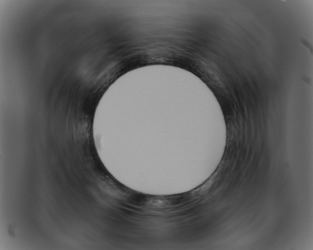 X0000093390174200710111354