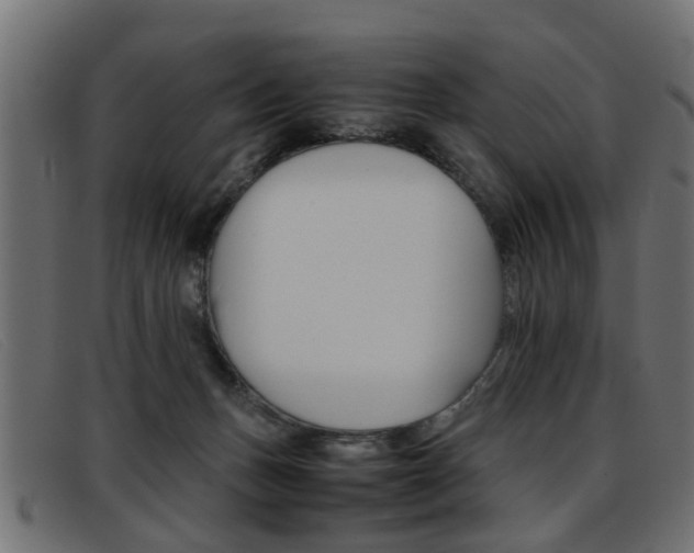 X0000093390175200710111354