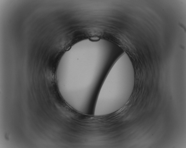X0000093390176200710111354