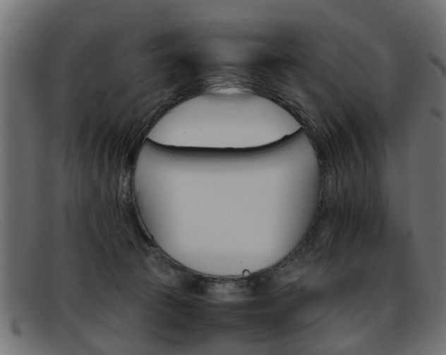 X0000093390177200710111354