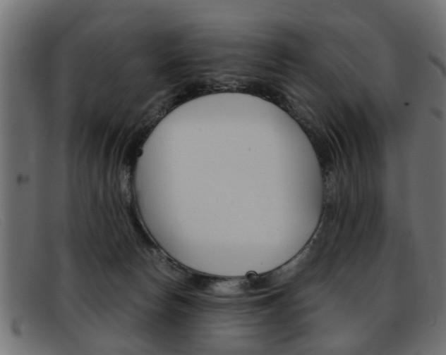 X0000093390178200710111354