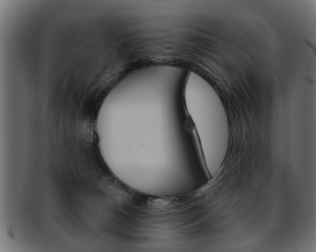 X0000093390180200710111354