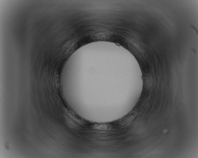 X0000093390181200710111354