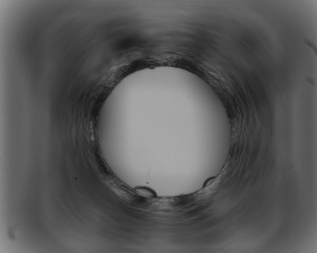 X0000093390182200710111354