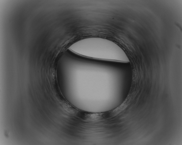 X0000093390184200710111354