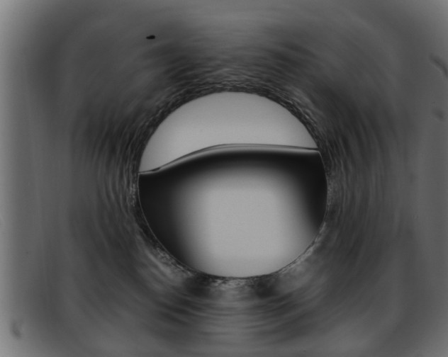 X0000093390186200710111354