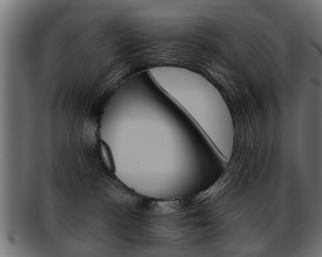 X0000093390188200710111354