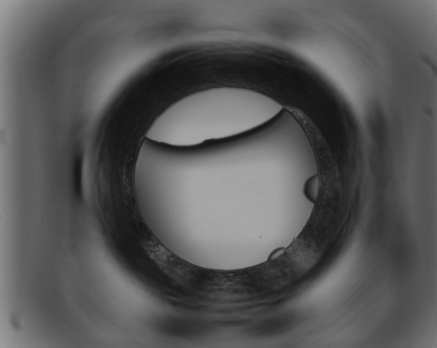 X0000093390189200710111354